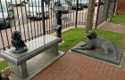 Greyfriars’ Bobby and Bum the Dog!